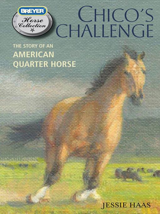 Title details for Chico's Challenge by Jessie Haas - Available